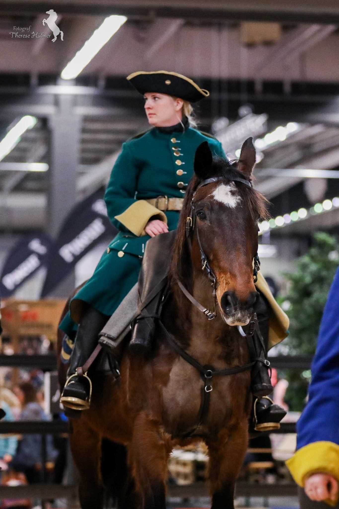 Lisa, Uppvisning Eurohorse Gothenburg Horseshow