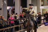 BG Uppvisning Eurohorse Gotehnburg Horseshow